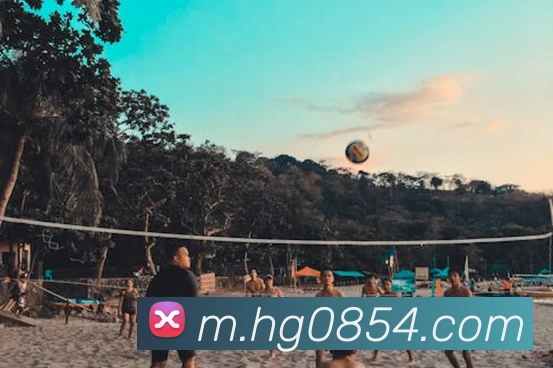 皇冠网官网品牌故事